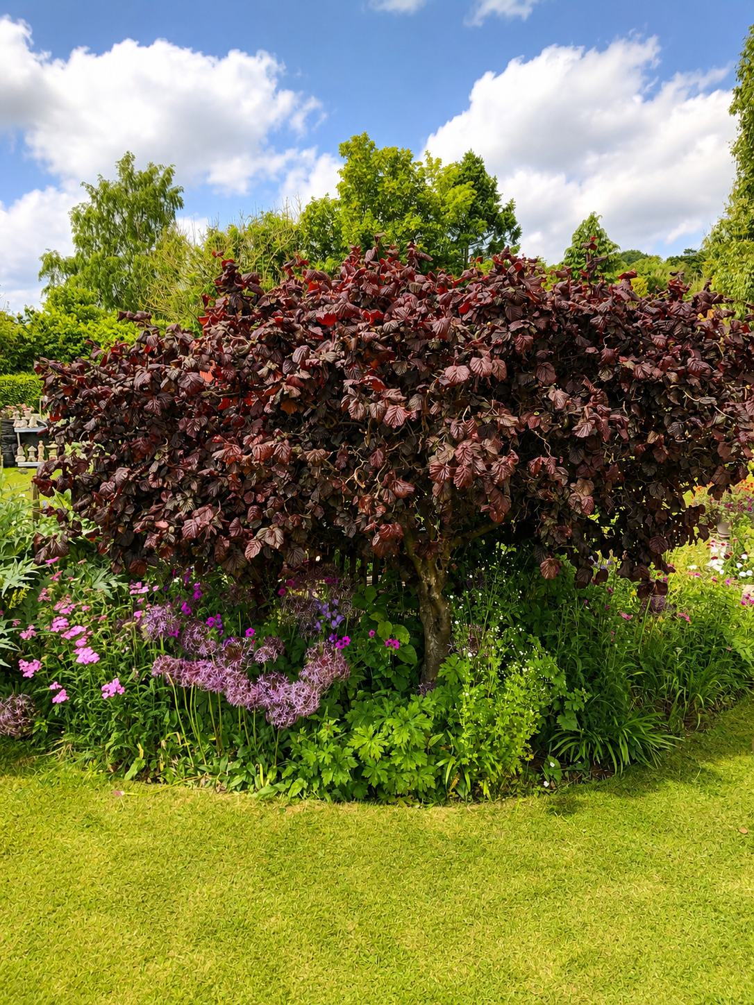 Flowery border