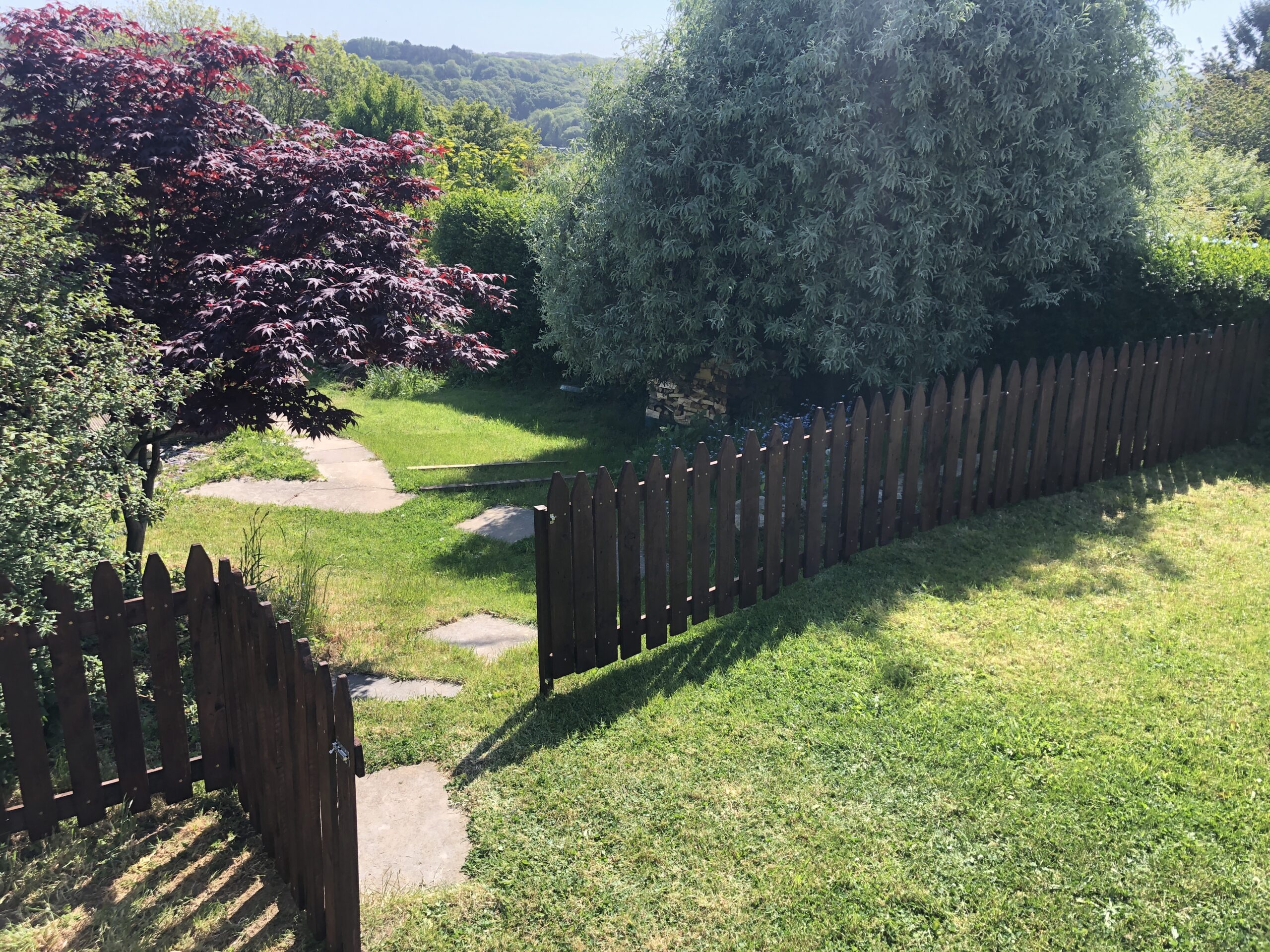 Lovely Garden