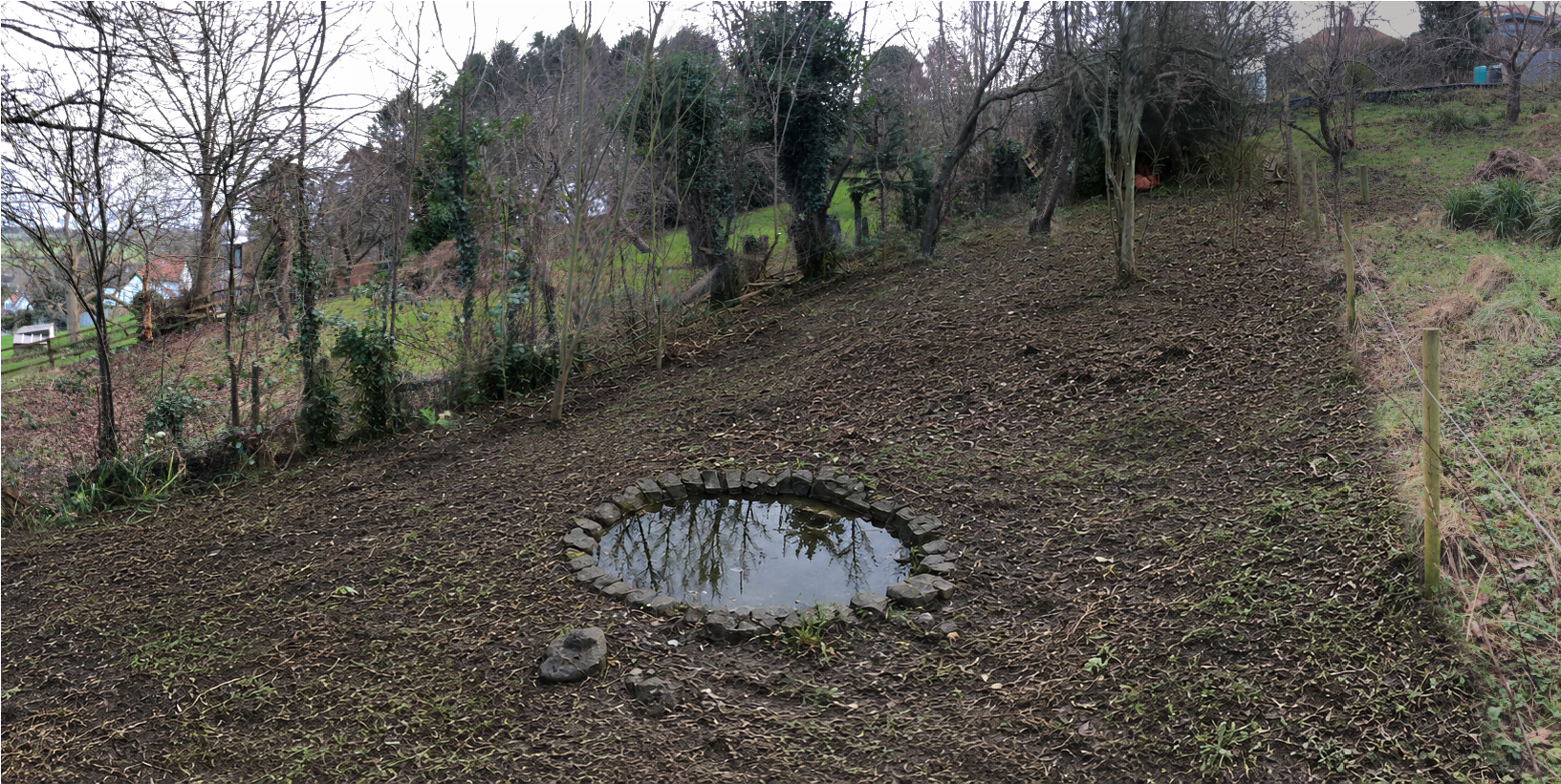 Lawn with pond clearing