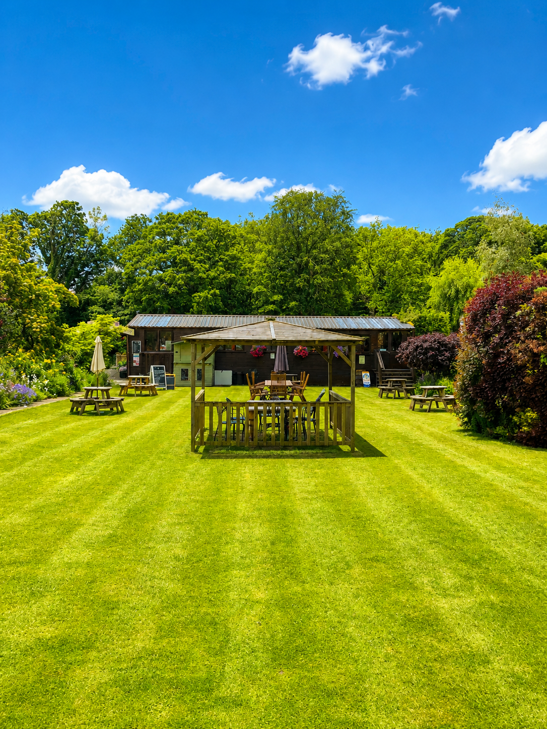 Freshly cut lawn
